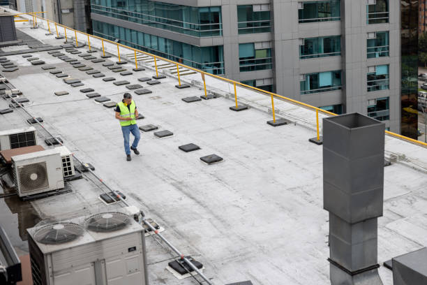 Best Roof Insulation Installation  in Duncan, SC