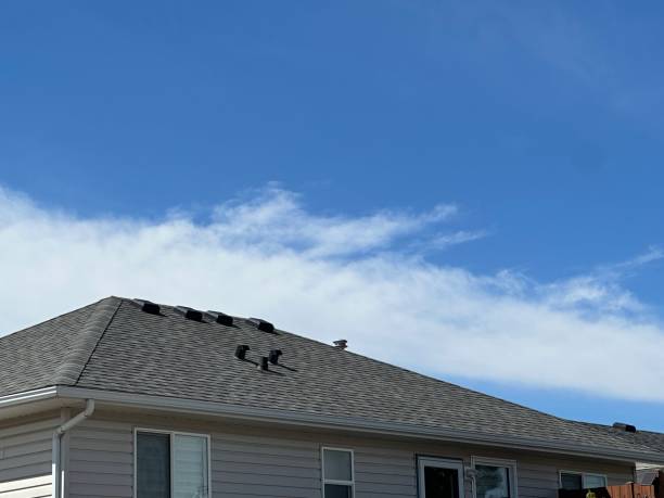 Professional Roofing Service in Duncan, SC